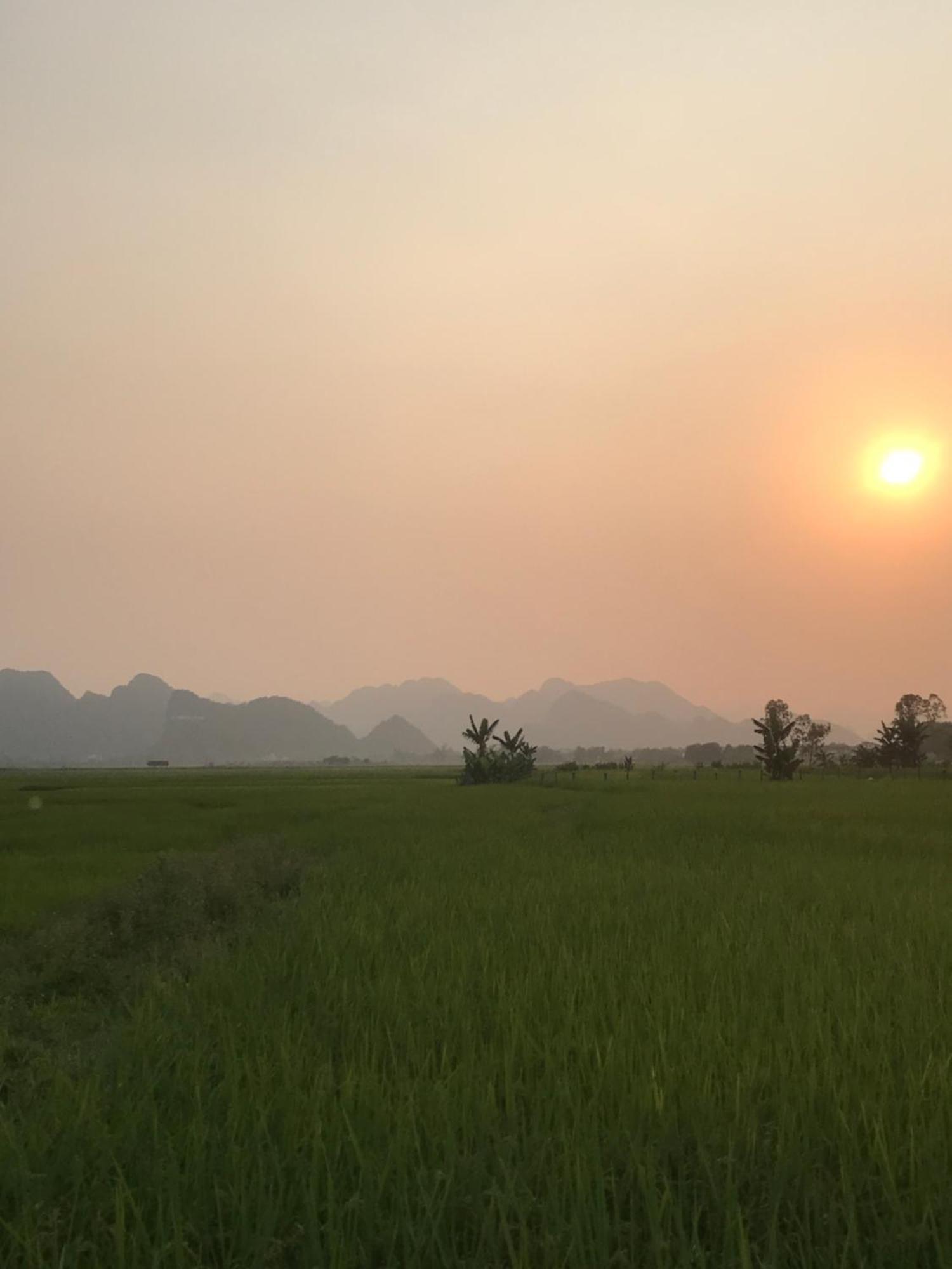 Happy Field Homestay フォンニャ エクステリア 写真